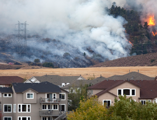 Understanding Wildfires: Risks, Causes, and Community Resilience